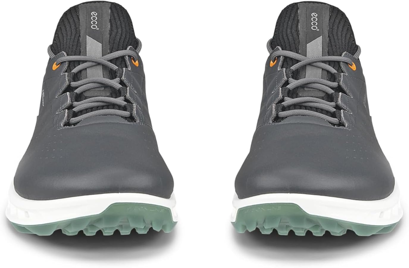 Amazon | ECCO メンズ Biom C4 ゴアテックス 防水ゴルフシューズ, 磁石